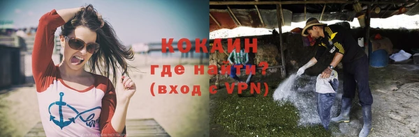 ECSTASY Богданович