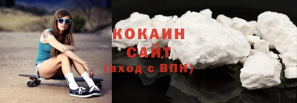 ECSTASY Богданович