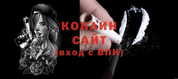 ECSTASY Богданович