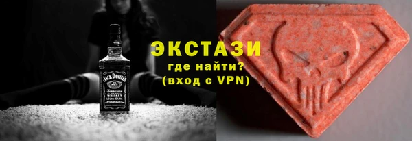 ECSTASY Богданович