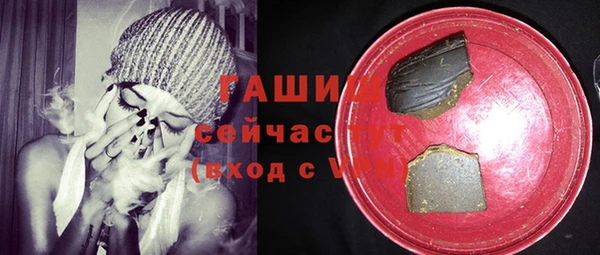ECSTASY Богданович