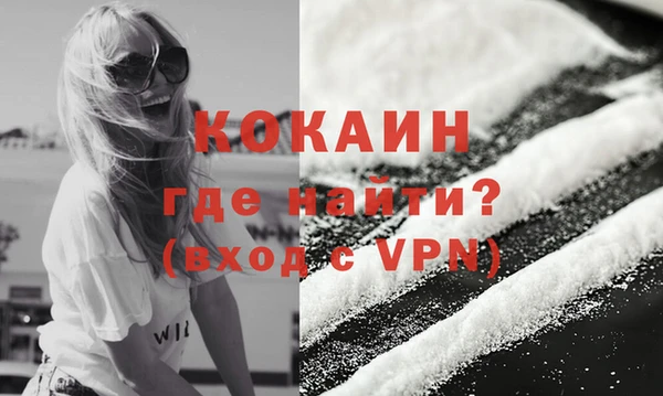ECSTASY Богданович