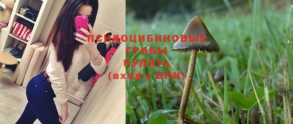 первитин Богородицк