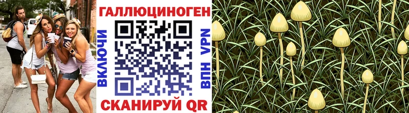 Псилоцибиновые грибы Cubensis как найти закладки Реж